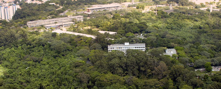 Leia mais sobre o artigo Reservas ecológicas ocupam 30% do território da USP